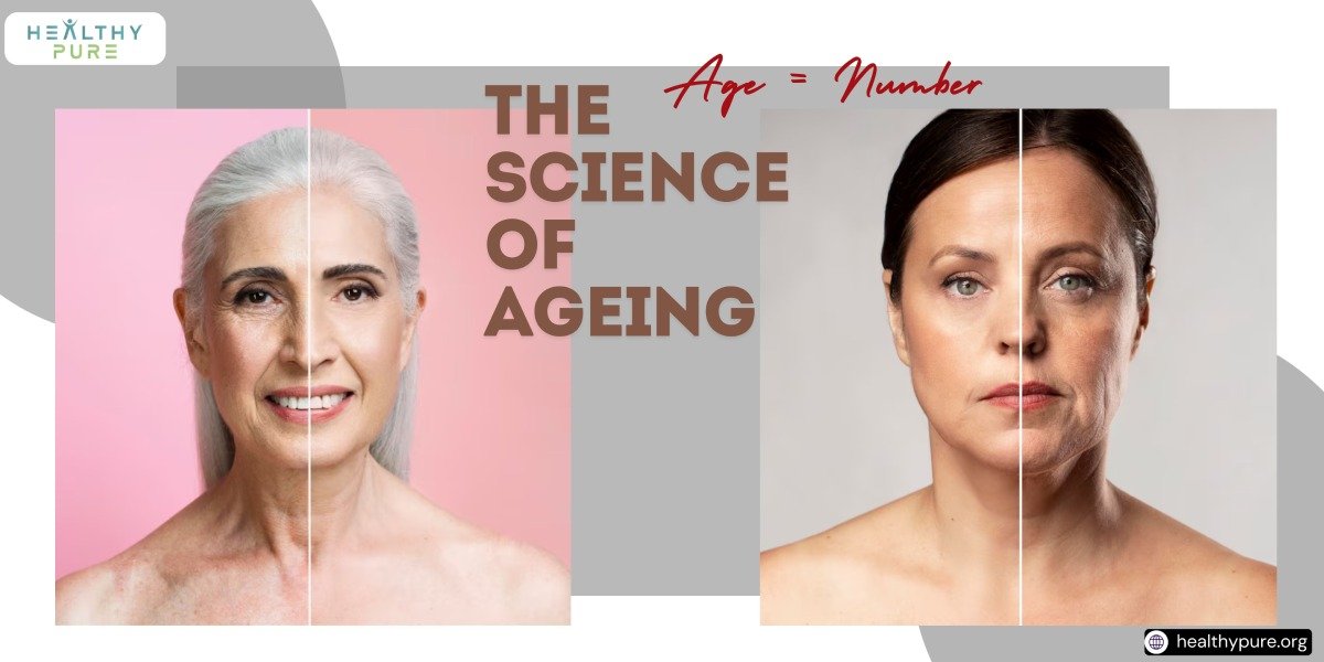 The Science of Ageing: Understanding The Process And Its Impact